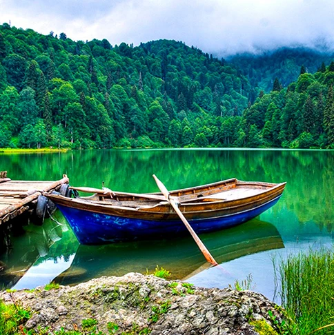 Artvin Turu